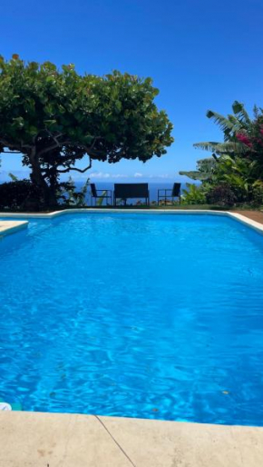 Villa Te Miti, Puna'auia